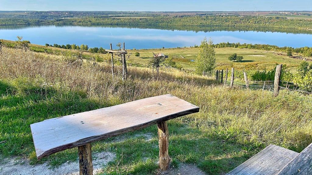 Blick auf den nördlichen Teil des Geiseltalsees vom Weinberg auf der Klobikauer Halde aus. 