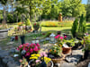 Ein Senior ist auf einem Dessauer Friedhof bestohlen worden.