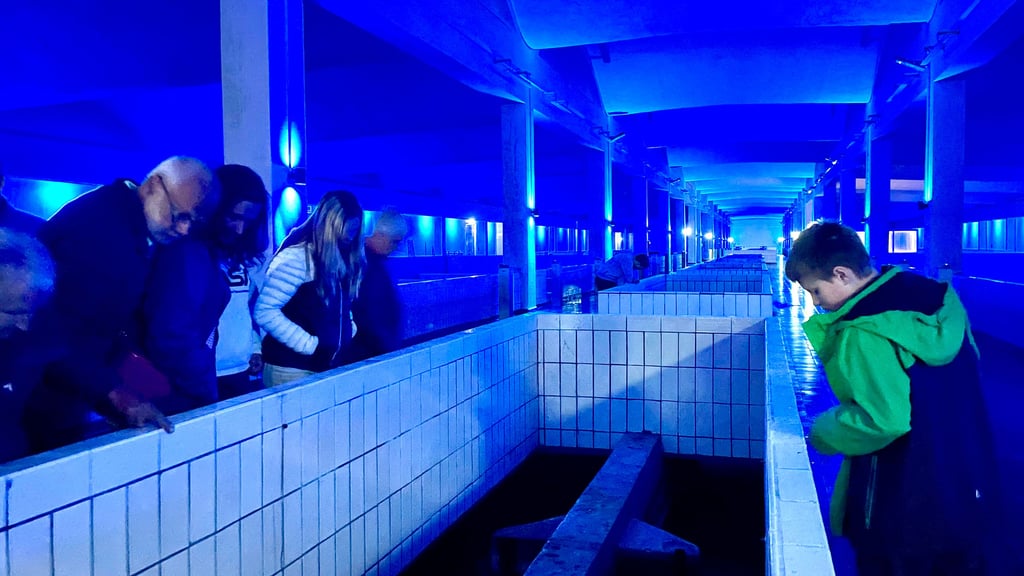 Besucher können sich am Samstag, 27. September 2025, im Wasserwerk Wienrode über das Trinkwasser aus dem Harz, seine Aufbereitung und Nutzung informieren.