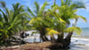 Der Fund zweier Leichen auf dem Grundstück eines deutschen Paares in Costa Rica gibt Rätsel auf. (Archivbild)