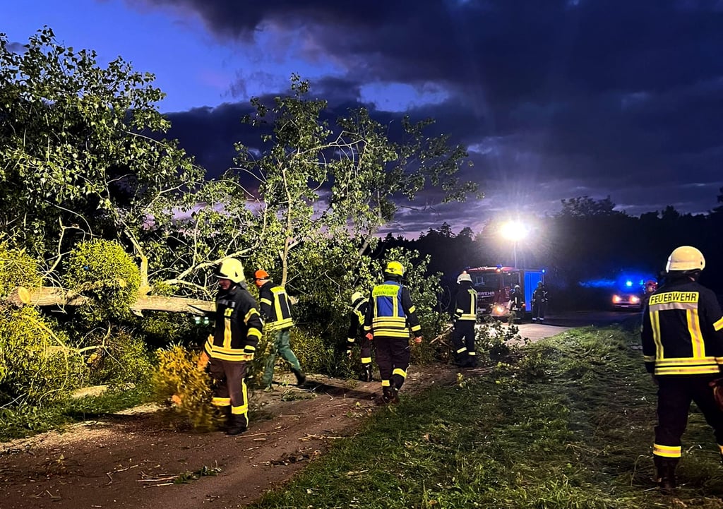 Am Dienstagabend hat ein massiver Ast die Straße zwischen Mühlsdorf und Bornum blockiert.