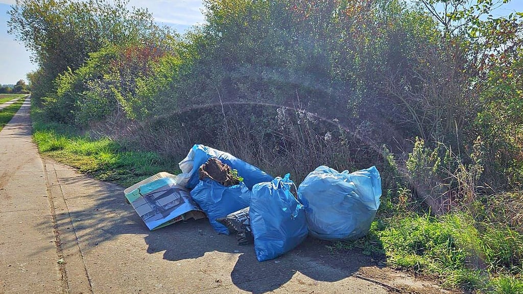 Statt kleinen Geocachingboxen große blaue Müllsäcke: Insgesamt 1,5 Tonnen kamen am Ende des Tages zusammen.