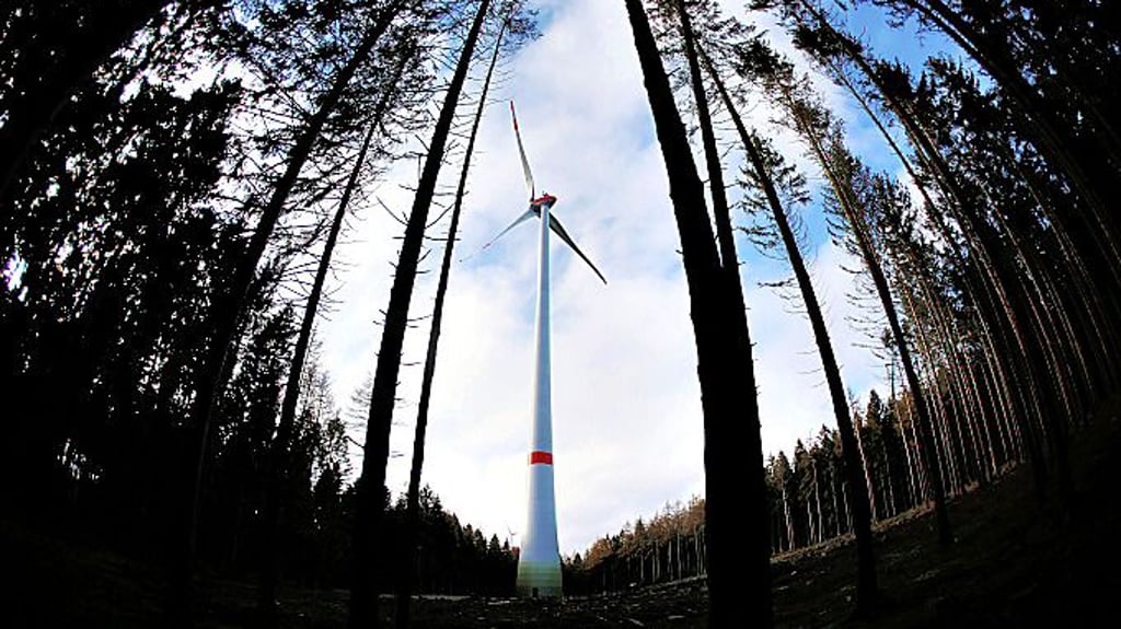 Das Bürgerbegehren zu Windrädern im Schmölauer Forst ist noch nicht vom Tisch.