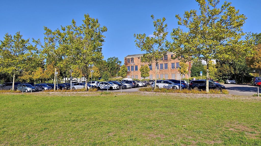 Auf dieser Wiese soll der neue Parkplatz entstehen.