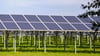 Wird künftig entlang der B 187a zwischen Zerbst und Bias Solarstrom erzeugt wie hier auf der einstigen Zerbster Deponie? Die Diskussion geht weiter.