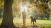 Vorsicht beim Spaziergang: Kastanien wecken bei Hunden den Spieltrieb, können aber gefährlich sein.