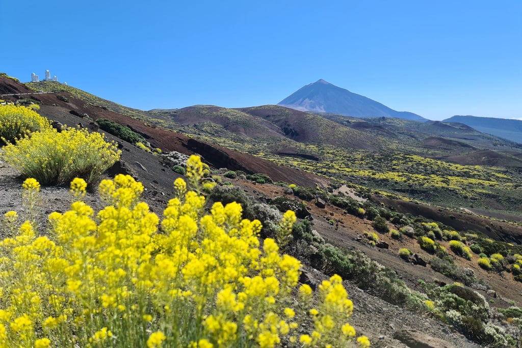 Der Berg Teide auf Teneriffa ist nur eines der Highlights der Kanarischen Inseln.