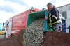 Torsten Schubert und seine Kameraden von der Freiwilligen Feuerwehr Lützen leerten die Behälter mit den gesammelten Kronkorken in einen Container aus.