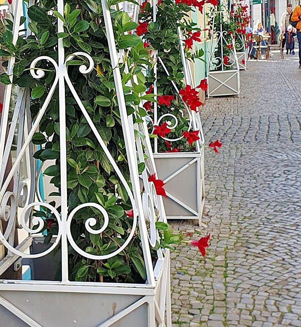 Blumenkübel können schön sein, benötigen in Salzwedel aber eine Sondernutzungserlaubnis.