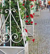 Blumenkübel können schön sein, benötigen in Salzwedel  aber eine Sondernutzungserlaubnis. 