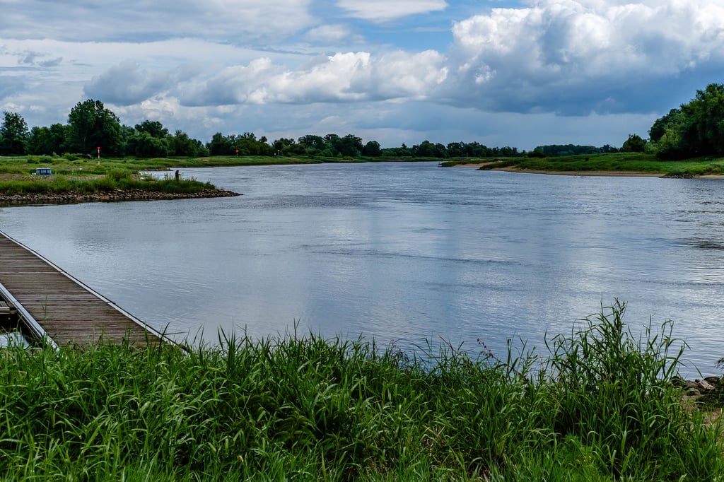 Die Elbe nahe Wittenberg bei ihrem Tiefststand im Mai.