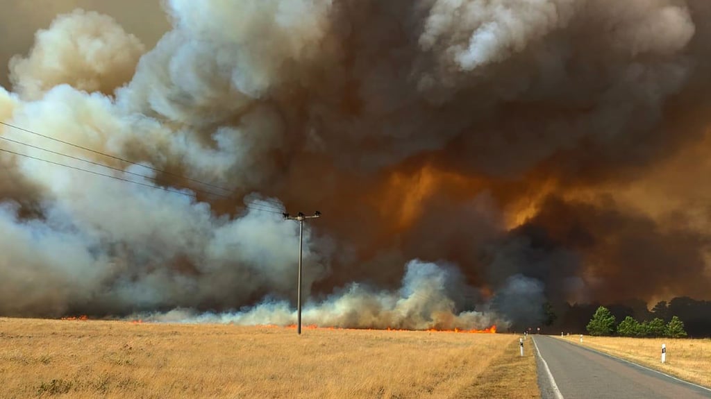 Eine riesige Feuerwand rollte beim Waldbrand nahe Pakendorf auf die Einsatzkräfte zu.