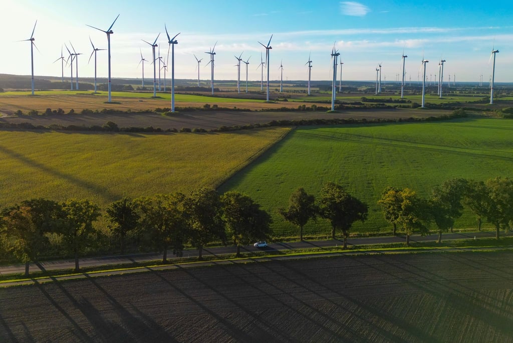 Der Brandenburger Landtag will einen „Wildwuchs“ beim Ausbau der Windkraftanlagen verhindern (Archivbild).