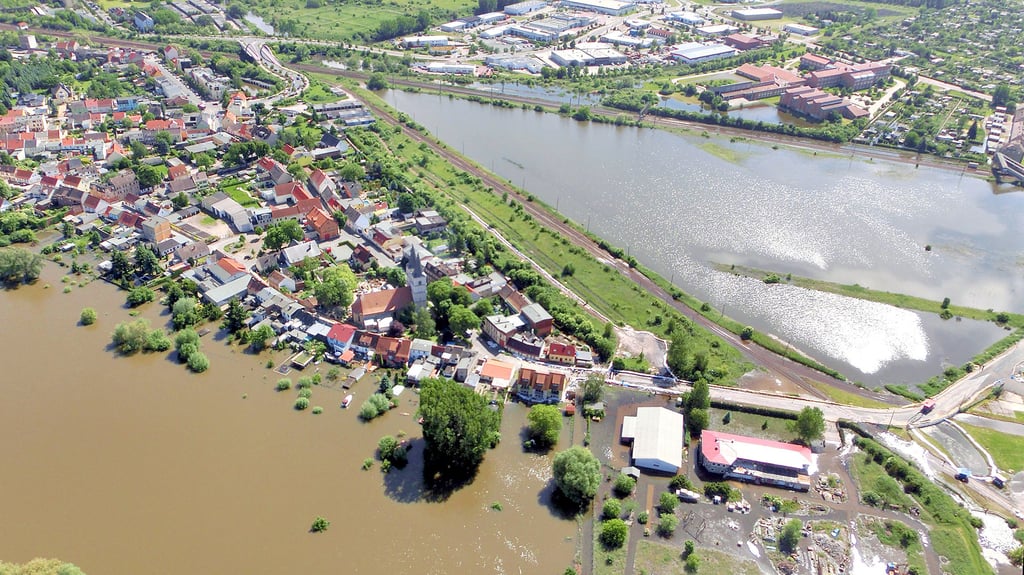 Blick auf Frohse am 11. Juni 2013: Das Wasser der Elbe drückt an das Dorf. Im Hinterland bildet sich Drängwasser und kann nicht abfließen.