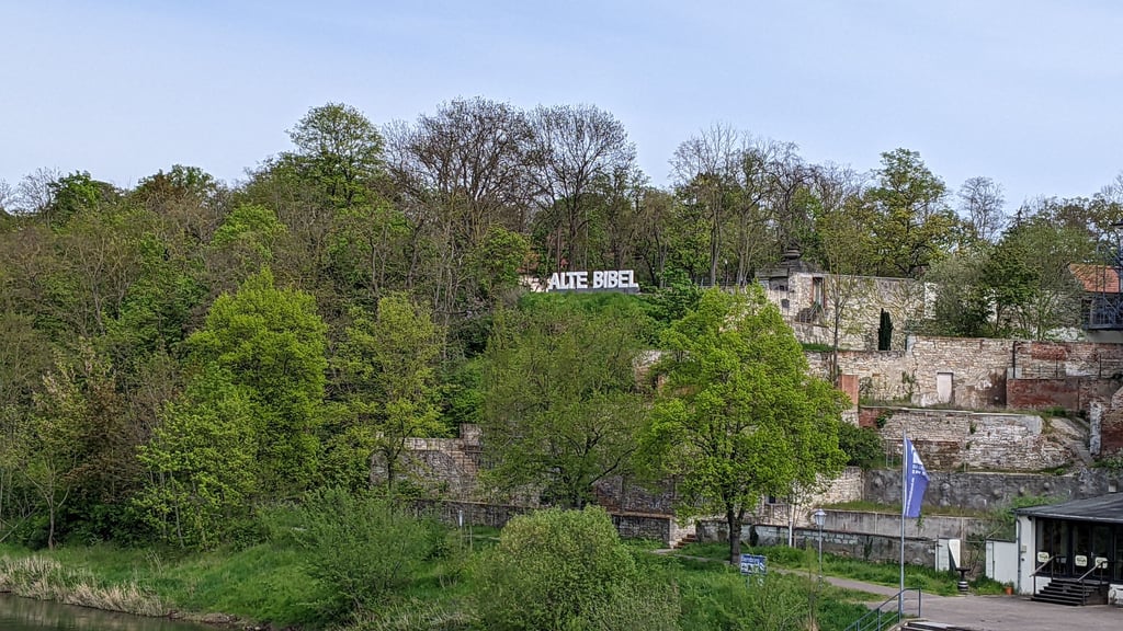 Im Stadtpark „Alte Bibel“ soll sich der Vorfall ereignet haben.