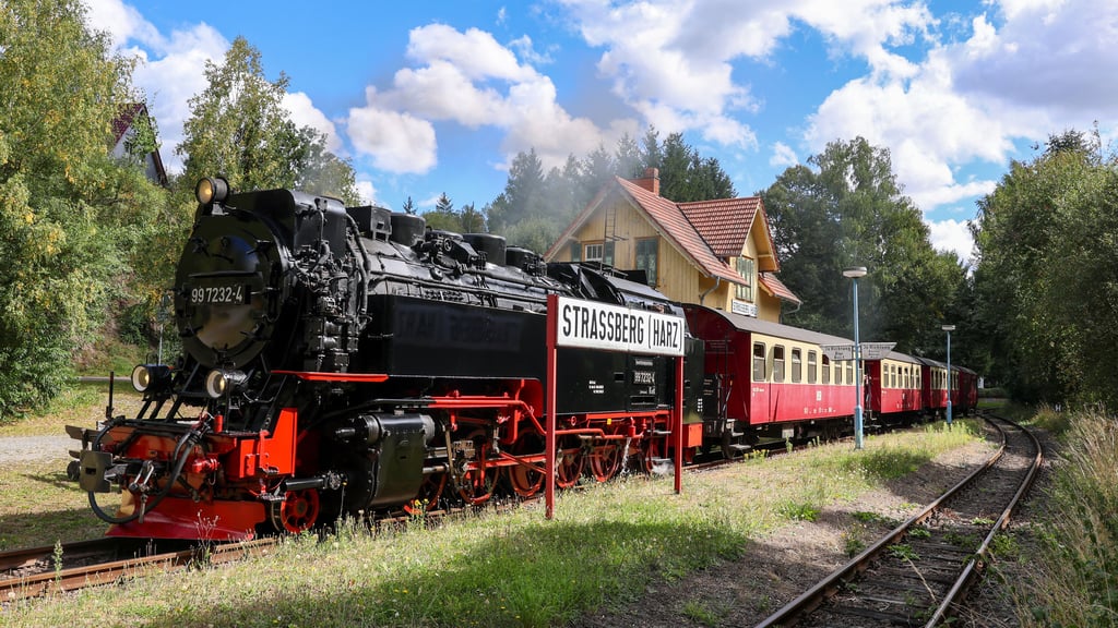 Insbesondere der bauliche Zustand der Selketalbahn - hier am Haltepunkt Straßberg - ist punktuell akut. Zwischen Alexisbad und Harzgerode sind die Gleise so marode, dass der Betrieb seit dem Frühsommer eingestellt ist.