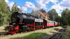 Insbesondere der bauliche Zustand der Selketalbahn - hier am Haltepunkt Straßberg - ist punktuell akut. Zwischen Alexisbad und Harzgerode sind die Gleise so marode, dass der Betrieb seit dem Frühsommer eingestellt ist.