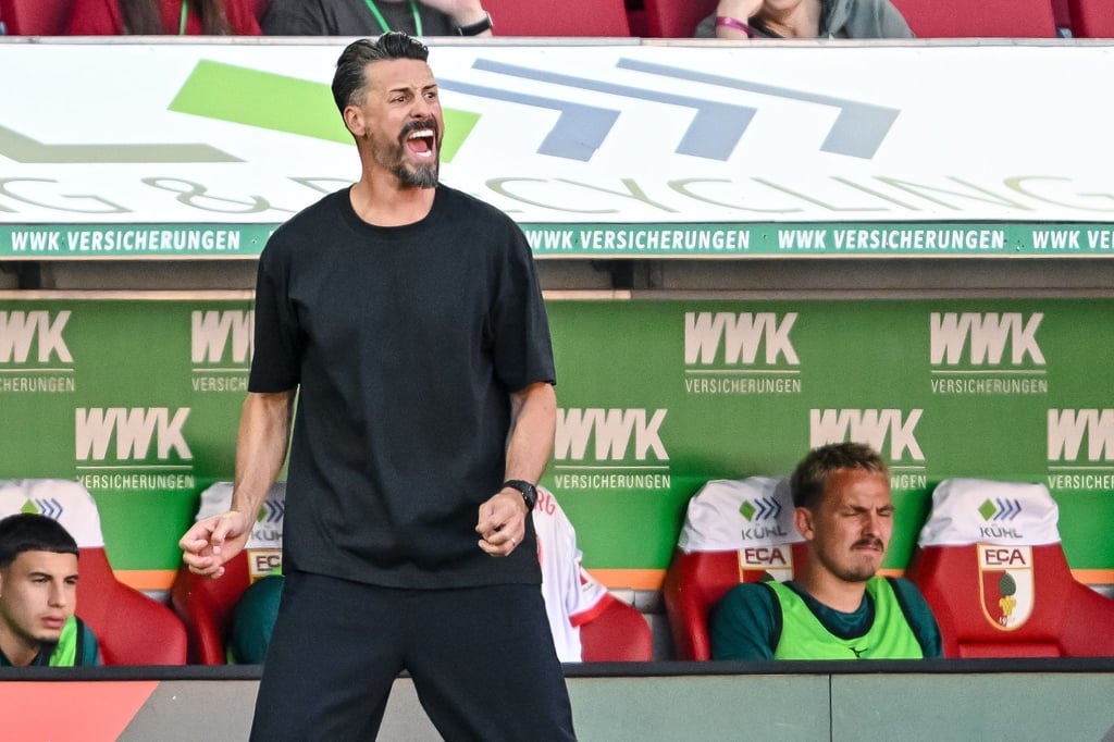 Sandro Wagner muss sich in der Bundesliga erst noch beweisen - der Druck ist groß. (Archivfoto)