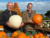 Die Kürbisernte ist super gelaufen auf den Feldern des Pflanzenmarktes Hesse in Calenberge. Wolfgang Hesse (l.) und Firmenchef Denis Hesse zeigen Prachtexemplare.