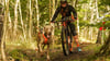 Für die Starter des Wettbewerbs „Jagt den Teufel 7.0“ geht es am 4. und 5. Oktober mit ihren vierbeinigen Begleitern auf dem Bike, zu Fuß oder mit dem Roller durch den Wald in Hüttenrode.