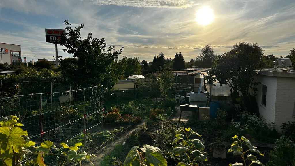 Die Sonne lacht über der Kleingartenanlage. Ein trügerisches Idyll. Die Gärten sollen für die neue Rettungswache Süd weichen.