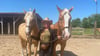 Charlott Weiner-Fischer aus Woltersdorf mit ihren Pferden Bravo und Prado