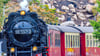 Fährt die Harzer Schmalspurbahn nach dem Vorbild der Schweizer Bernina-Bahn bald auch elektrisch?