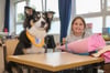 Hunde unterstützen im Unterrichtet - hier bei einem früheren Einsatz in der Makarenkoschule in Magdeburg im Rahmen einer Einschulung von Assistenzhunden. Mischlingshündin Ronja sitzt neben einer Schülerin. Um den Einsatz der Hunde zu finanzieren, werden noch Paten gesucht. Interessenten können sich beim Verein melden.