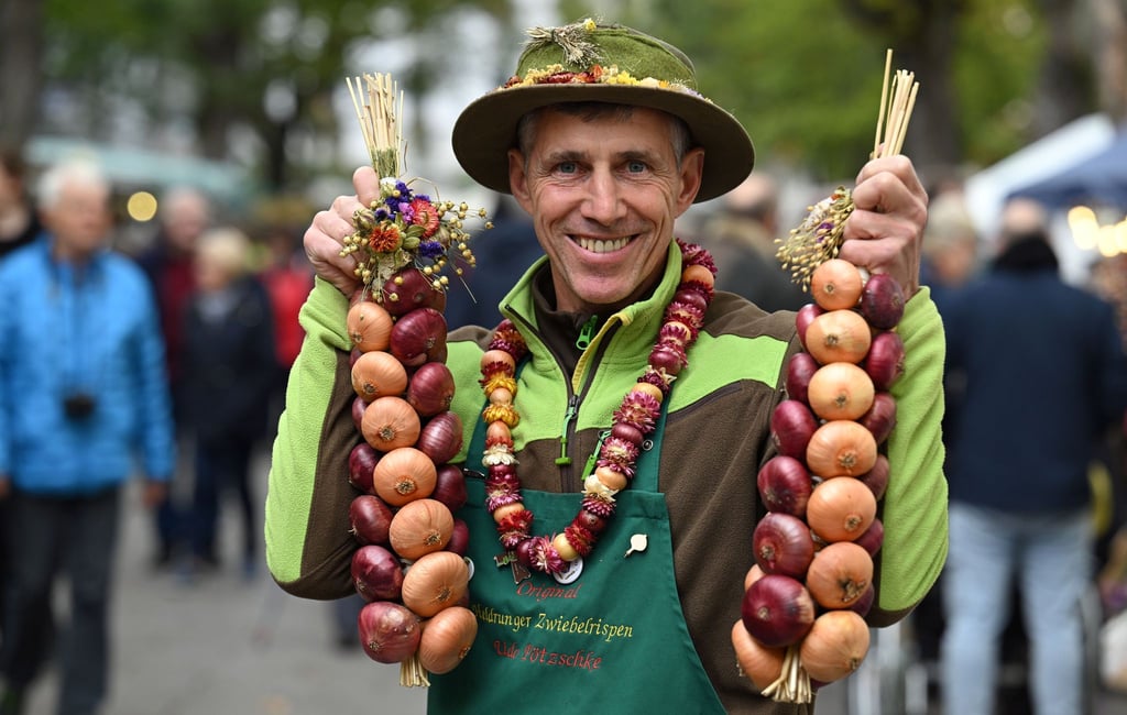 Begehrtes Produkt: Spiralförmig zu Zöpfen gewickelte rote und helle Zwiebeln sind das Markenzeichen der Heldrunger Zwiebelbauern. (Archivbild)