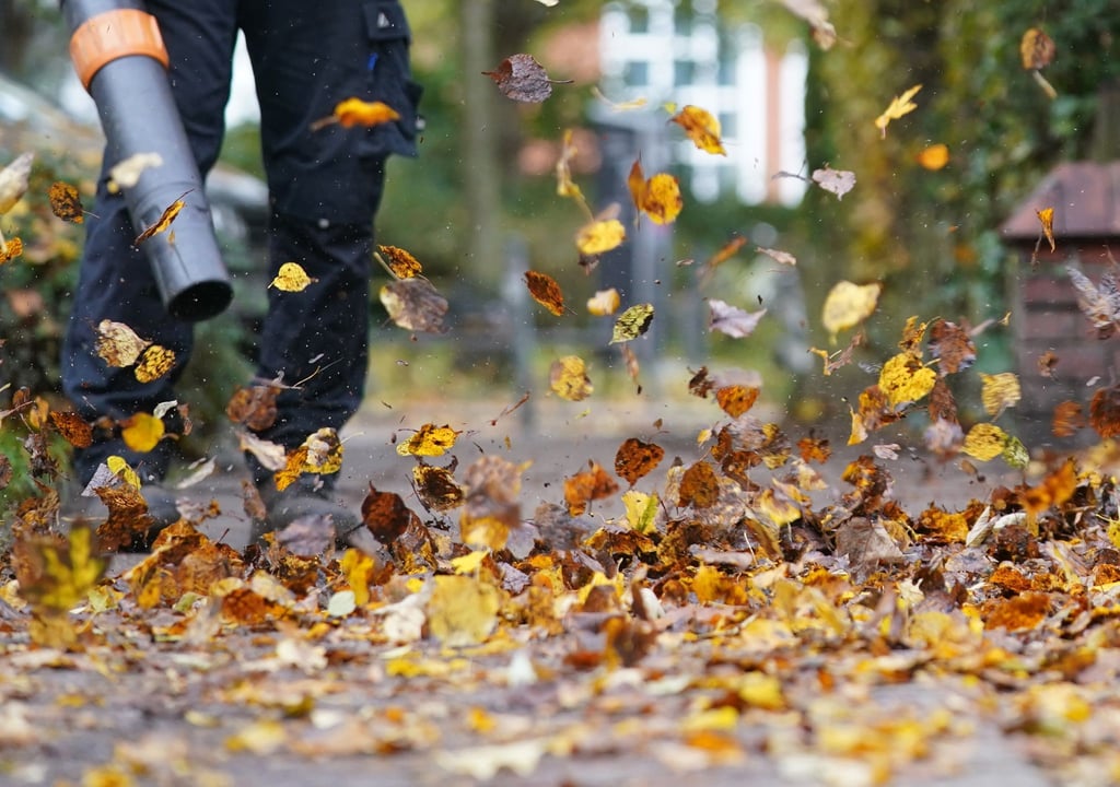 Zürich will den Einsatz nur noch von Oktober bis Dezember erlauben. (Symbolfoto)