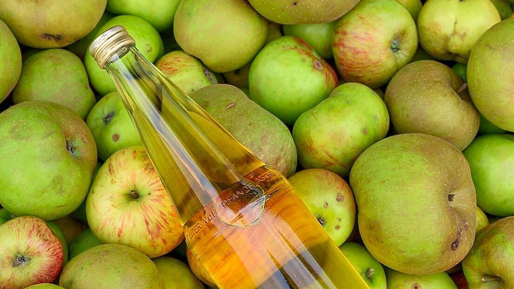 Aus vielen Äpfeln wird Saft: Im Landkreis Wittenberg gibt es dafür nur noch wenige Annahmestellen.