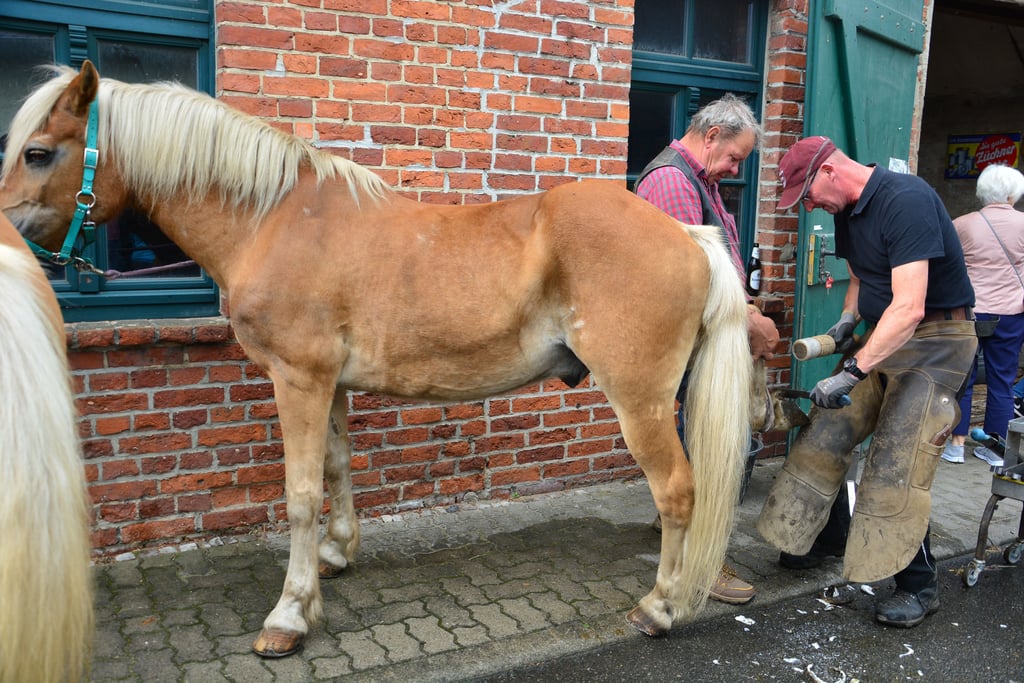 Handwerk, Backofen, Schauschmieden und Festumzug sorgen für lebendige Tradition.