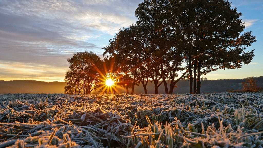 Der Herbst hält so langsam Einzug in Sachsen-Anhalt, was sich auch bei den Temperaturen bemerkbar macht.