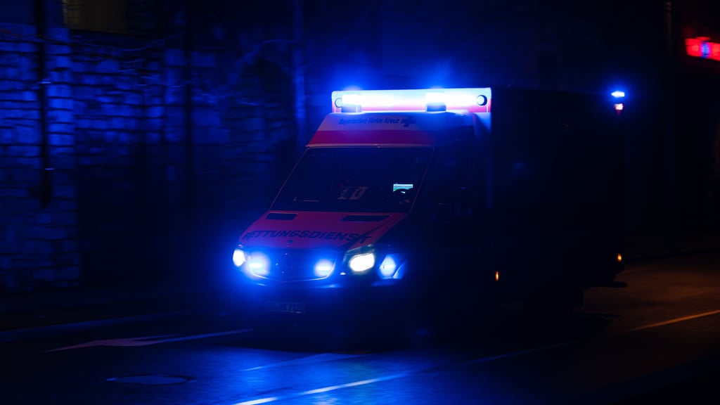Eine Fahrradfahrerin ist in Wittenberg beim Zusammenstoß mit einem Reh verletzt worden.