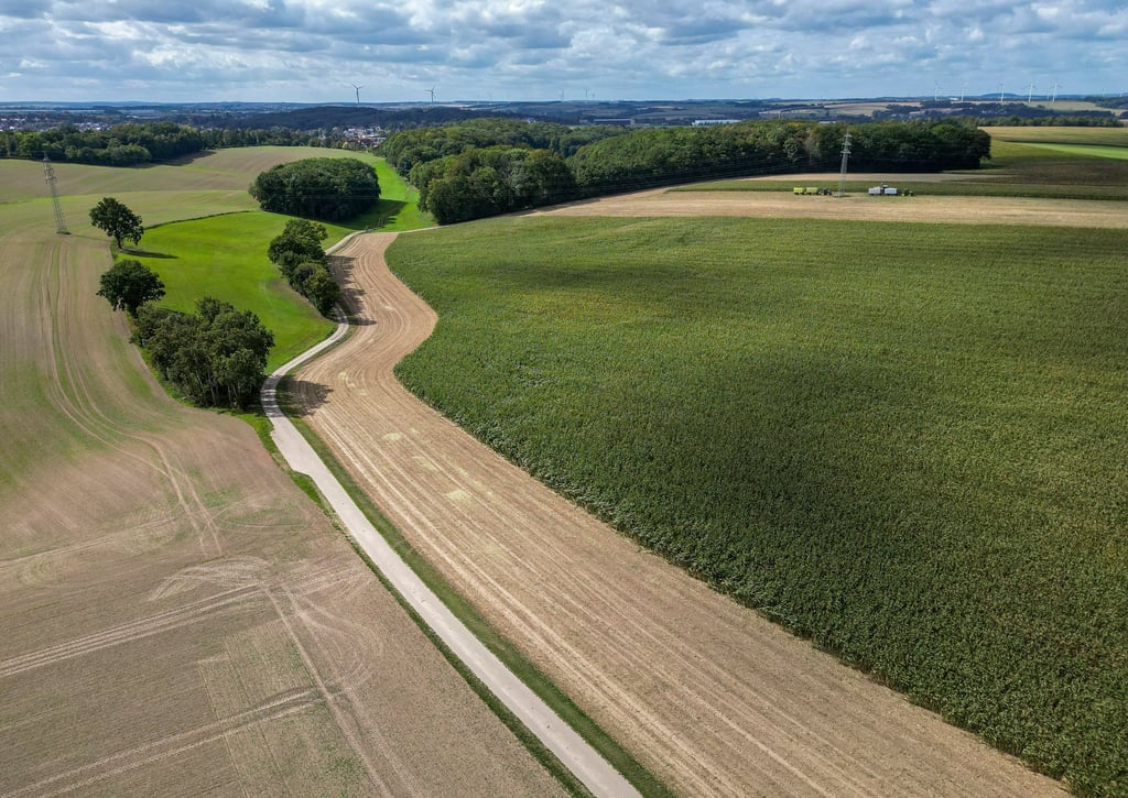 Die Sonne zeigte sich nach einer vorläufigen Auswertung des Deutschen Wetterdienstes 177 Stunden. (Archivbild)