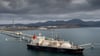 Unternehmen aus der EU importieren noch immer russisches LNG im Milliardenwert. (Archivbild)