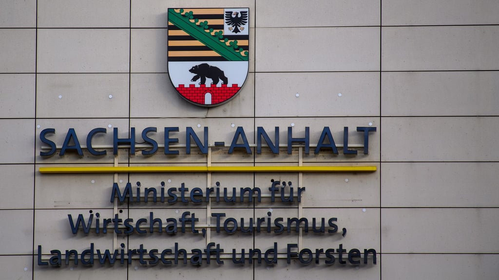 Jedes Jahr werden Millionen aufgewendet, um Räumlichkeiten für Ministerien in Sachsen-Anhalt anzumieten.