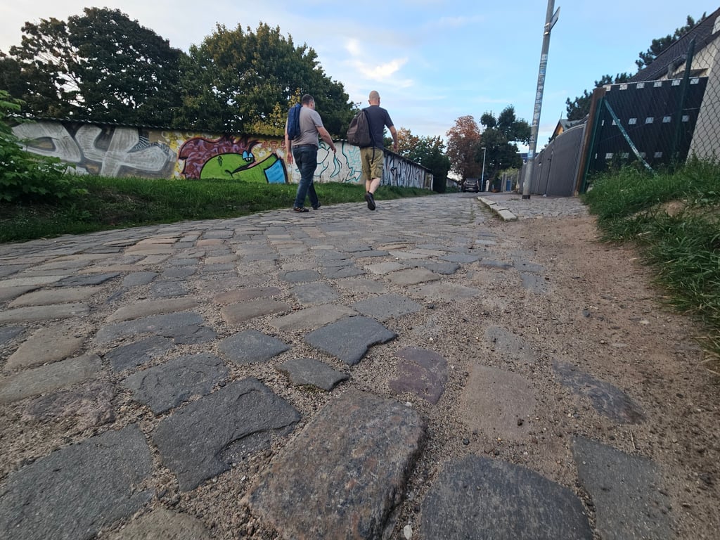 Blick auf die Straße Am Brellin in Magdeburg-Cracau: Alte Pflastersteine und ein unbefestigter Rand bestimmen das Bild.