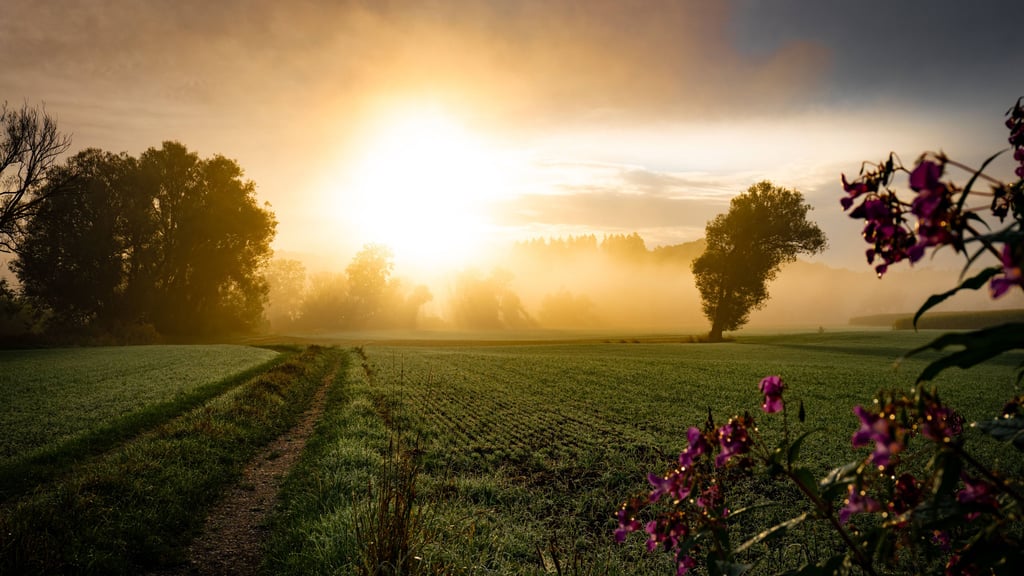 Der Herbst hält so langsam Einzug in Sachsen-Anhalt, was sich auch bei den Temperaturen bemerkbar macht.