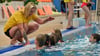 Magdeburgs Schwimmhallen im Ausnahmezustand: Wegen Personalmangel muss die Stadt Öffnungszeiten kürzen und Trainingszeiten neu verteilen.