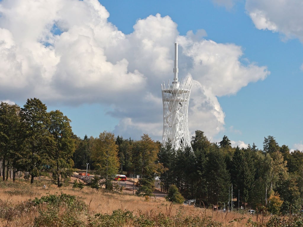 Blick auf den 70 Meter hohen „Hexenbesen“ im Harz.