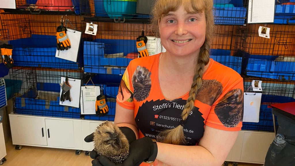 Igel-Lebensretterin Stefanie Jaksch peppelt die stachligen Wildtiere mit viel Liebe und Leidenschaft auf.