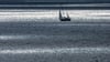 Die Ostsee erhitzt sich fast dreimal so schnell im Vergleich zum globalen Durchschnitt. (Symbolbild)
