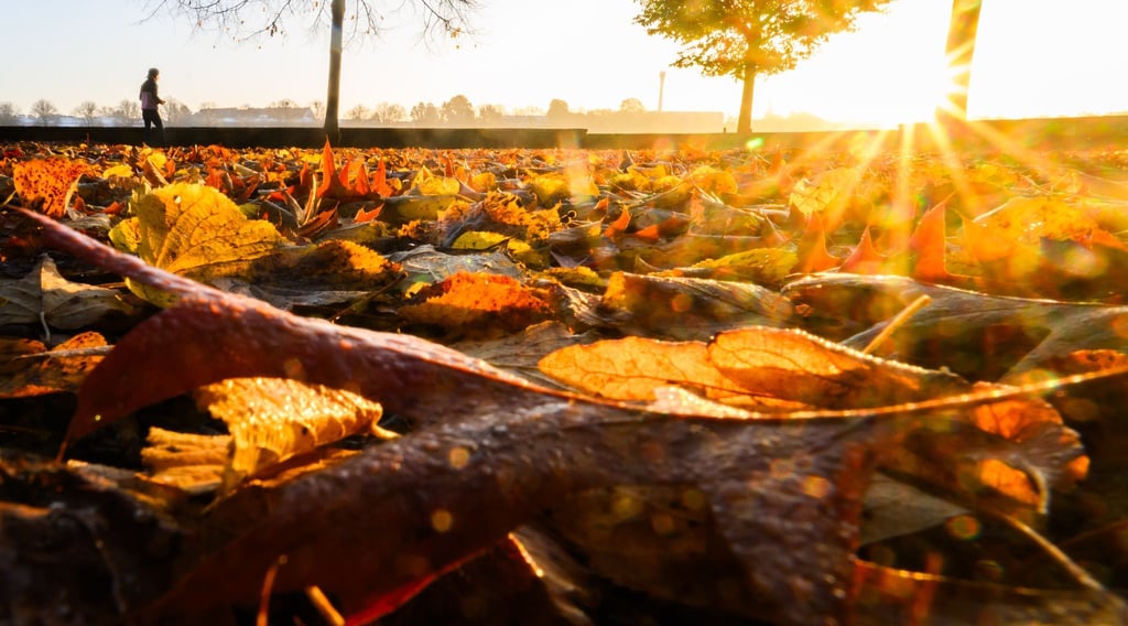 Zum Oktoberbeginn zeigt sich der Herbst von seiner besten Seite. (Symbolbild)