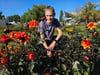 Peko Ruohomäki stattet den Dahlien im Magdeburger Elbauenpark einen Besuch ab. 
