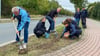 Narzissen für den Straßenrand! Helfer Günter Taube (81, links) und Doreen Albrecht, Vorsitzende Förderverein Gymnasium Staßfurt (4. von links).