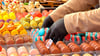 Ein Traum für Naschkatzen: In Wernigerode wird vom 29. Oktober bis zum 2. November 2025 zum Schokoladenfestival Chocolart eingeladen.