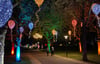 Installationen auf der Lumagica 2025 im Elbauenpark Magdeburg, hier kurz nach dem Eingang. 