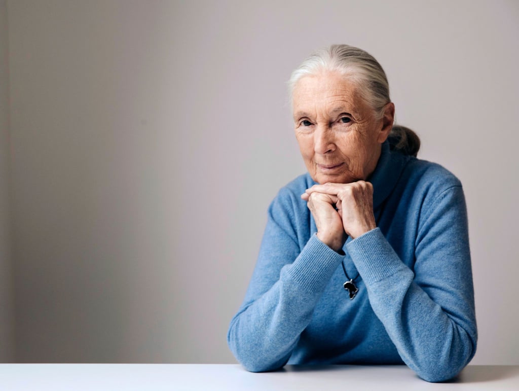 Die berühmte Schimpansenforscherin Jane Goodall ist im Alter von 91 Jahren gestorben. (Archivbild)