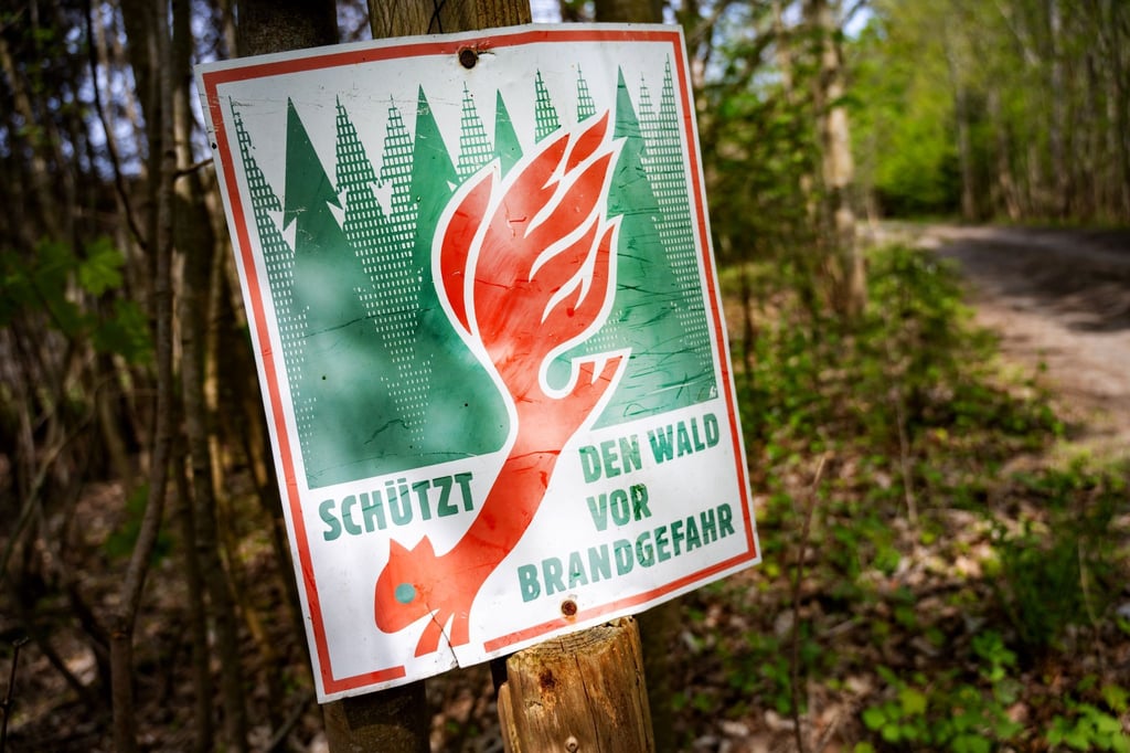 Im langjährigen, statistischen Vergleich ist 2025 ein eher unterdurchschnittliches Waldbrandjahr. (Symbolbild)